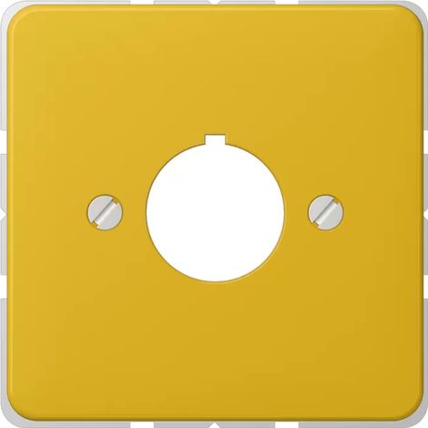 Jung Abdeckung für Befehlsgeräte mit 22,5 mm Ø 1fach, Duroplast, Serie CD, gelb 564 GE (1/2)