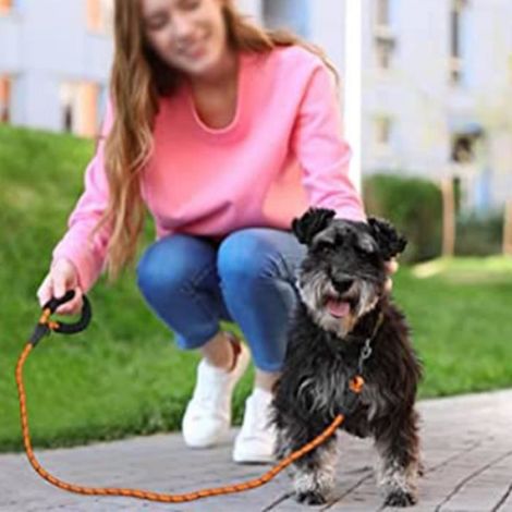 Laisse Chien Corde, 1.5m Laisse Forte pour Chien pour Chiens de Moyenne et Grande Taille, - JAUNE (1/4)