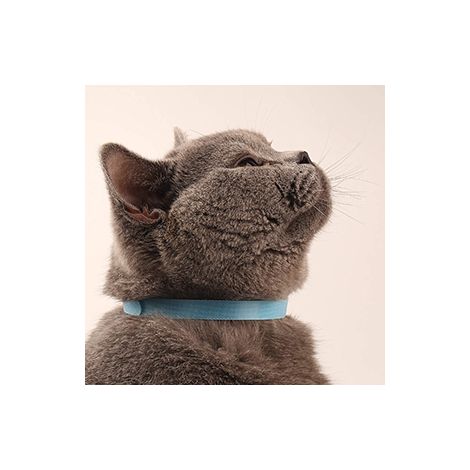 Lot de 12 collier, réglable, velcro, identification, chiot chaton (1/5)