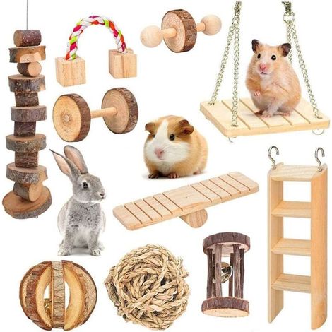 Jouets à Macher pour Hamster Lot de 10 Macher en Bois Naturel Petits Animaux Cochon d'Inde, Chinchilla, Perroquet, Rat, Lapin, pour Jouer et soigner Les Dents-Fei Yu (1/5)