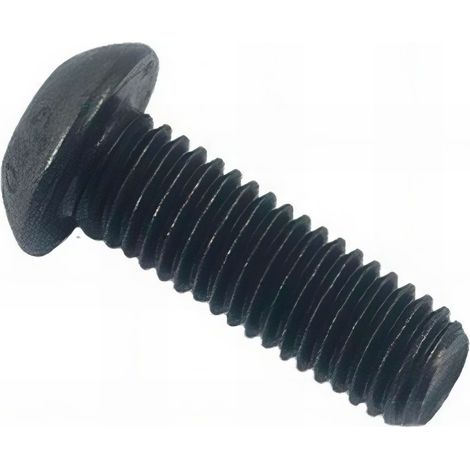 Vis métaux tête bombée 6 pans creux BHC 12 x 30 mm Brut - Boite de 100 pcs - Fixtout BHC1091203001B