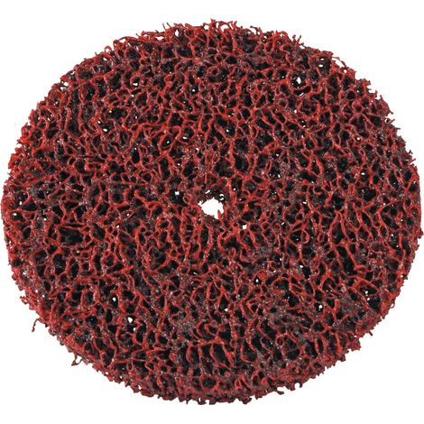 Disco de limpieza gruesa Heavy Duty Ø100x13mm grueso Taladro 13mm TECWERK (1/2)