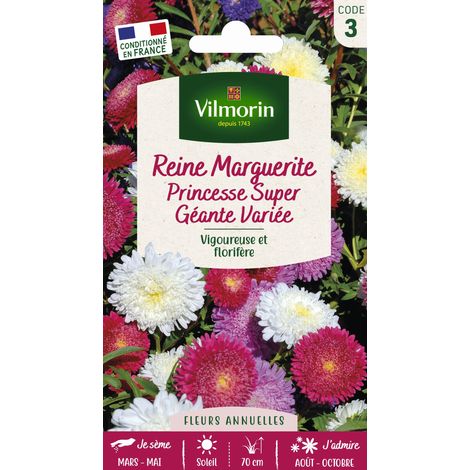 Vilmorin Reine-Marguerite Princesse Super Géante Variée (1/2)