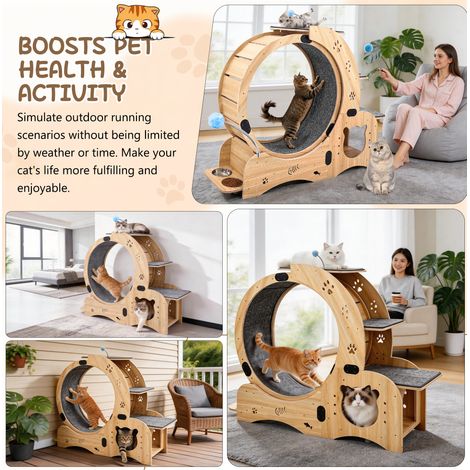 Cat wheel 91,5x53x19,5 cm en bois naturel, silencieux, pour chat d'intérieur, moderne FloraGrace (1/5)