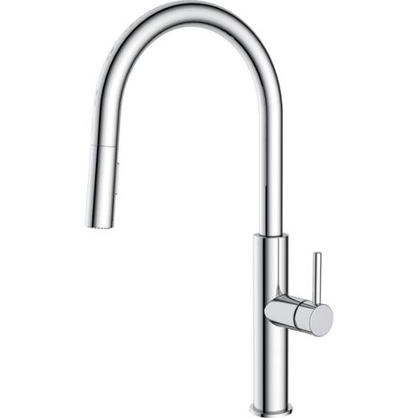 Swiss Aqua Technologies Miscelatore da cucina con doccia estraibile a 2 getti, cromo (SATBSD286)