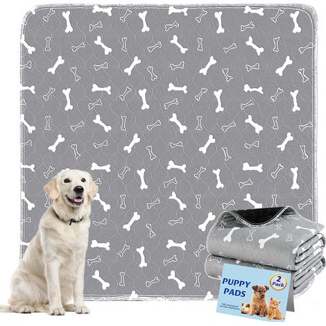 1 Tapis absorbant imperméable, lavable et réutilisable, 70x80 cm, gris pour dressage canin (1/5)