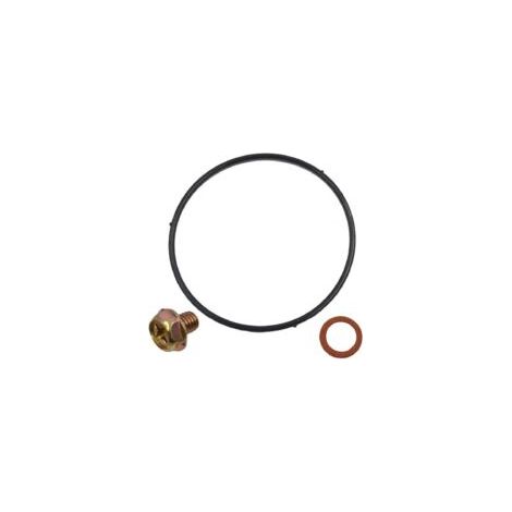 Kit de réparation de carburateur S-giant compatible avec Honda GX120GX160GX200 - 16010-ZE1-812
