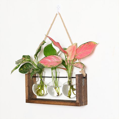 Vase hydroponique mural pour plante verte, cadre en bois, décoration pour salon et maison (1/4)