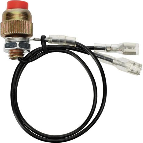 Interrupteur - pour souffleur de feuilles thermique - pour réf OXEO 760283