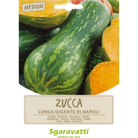 SEMI PER ORTAGGI E VEGETALI zucca lunga gigante di Napoli Q.TA 20 zucca lunga gigante di Napoli