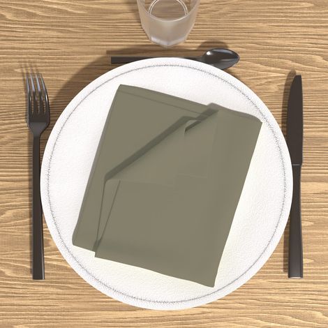 Lot de 3 Serviettes de Table Polyester Ecru/Taupe 40 x 40 cm (1/2)