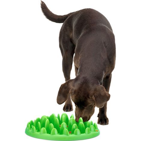 Gamelle plateau anti glouton 29 cm pour chien - animallparadiseGamelle plateau anti glouton 29 cm pour chien - animallparadise