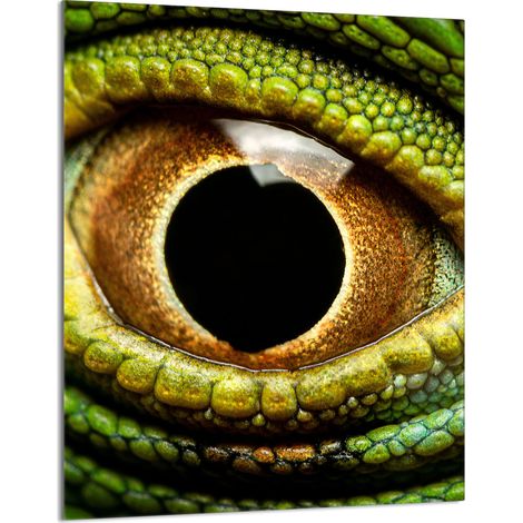 Glasschneidebrett 40x52 Auge (1/5)