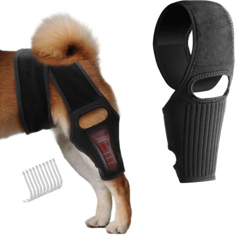THJOPOKEEL Pet Protection Team, Attelles pour pattes de chien en cas de luxation du LCA, Support pour articulation de la hanche du chien (S) (1/5)