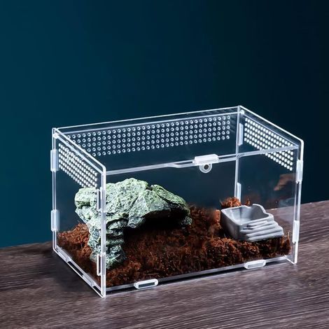 Acryl-Zuchtbox, 360° transparent, 318 Belüftungslöcher, für Reptilien und Insekten (1/5)