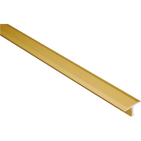 Ánodo de oro en tira A54 de 100 cm (1/2)