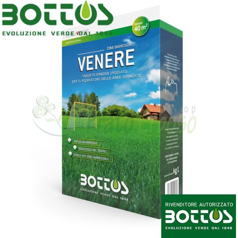 Venere - Sementi per prato da 1 Kg