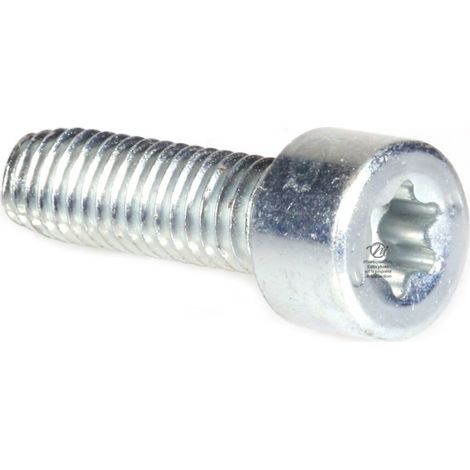 Vis Torx 27 M6 x 20 pour tronçonneuse Stihl 045 056 (1/4)