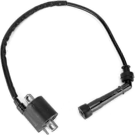 Bobina de encendido YAMAHA Rhino 660 2004-2007 - Accesorio para motor de motocicleta (carretera) (1/4)