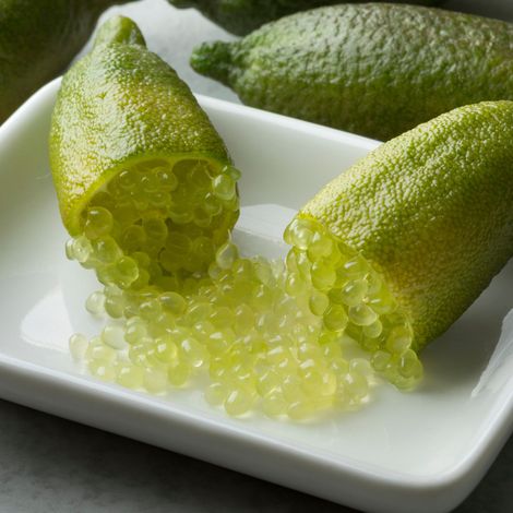 Gardenaria Limone Caviale Verde (Finger Lime) - Microcitrus australasica - Pianta di agrume da frutto in vaso - Altezza: 70/80 cm (vaso 22)