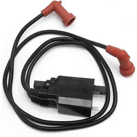 Bobine d'allumage 278000202 278000586 pour Sea-Doo JetSki GTI GTS Explorer 1992-2002 (1/5)
