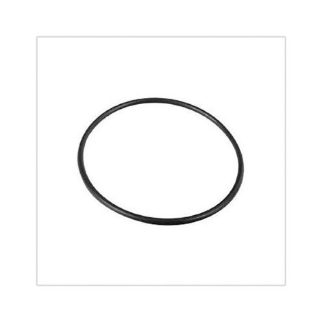 1PZ ANELLO X COPERCHIO POMPA FILTRO