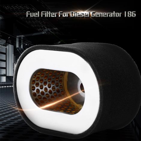 Filtre à carburant de rechange en acier inoxydable 1PC pour moteur de générateur diesel 186 Noir (1/5)