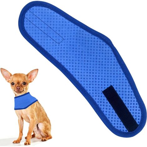Cooling collar for dogs, blue, size S (1/5)