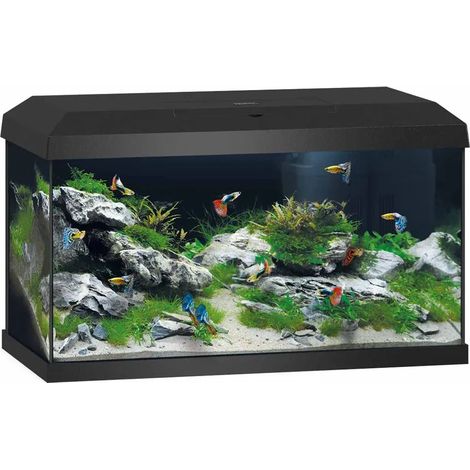 Juwel - Aquarium starter Primo 60 Black 2.0  LED 61x31x37cm - 60ltr