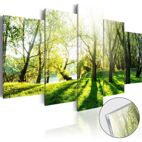 Tableau sur Verre Acrylique "Green Glade" 50 x 100 cm (1/2)