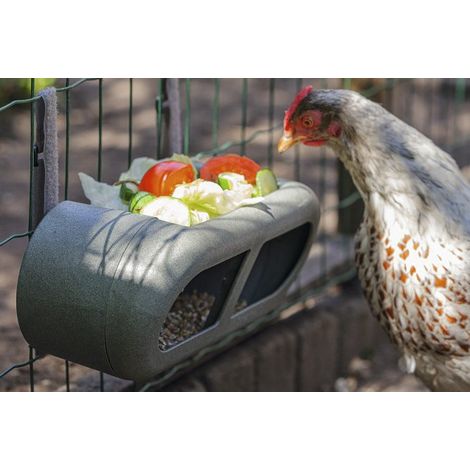 Mangeoire poules en plastique recyclé (1/4)
