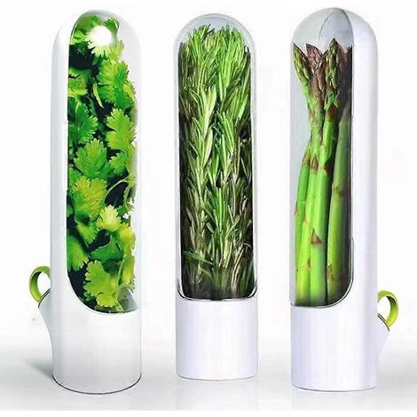 Boîte hermétique pour herbes aromatiques - Conserve la fraîcheur des légumes - Bouteille de conservation (1/4)