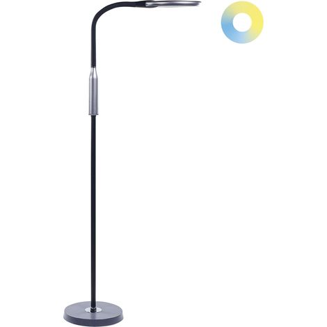 LED Stehlampe CASSIOPEIA mit Dimmer Metall Schwarz