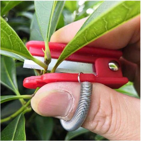 1 Couteau à pouce en acier inoxydable pour jardinage, couteau anneau de doigt pour la cueillette de légumes et la récolte, couleur aléatoire (1/5)