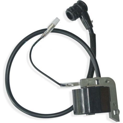 3WF-5 Zündspule für Sprüh- und Gebläsemotoren – Hochleistungs-Elektrozünder (1/2)