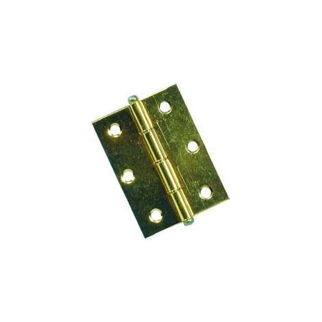 CERNIERE CON PERNO SFILABILE IN ACCIAIO OTTONATO- - mm.50x40 - 24 pezzi