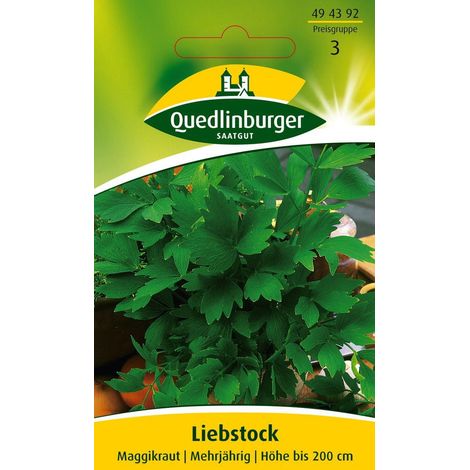 Quedlinburger Liebstock Maggikraut - Kräutersamen (1/2)