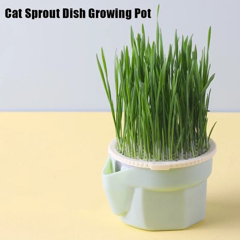 (Taille unique) 1 pot de germination pour chat, idéal pour la culture hydroponique d'herbe à chat, la digestion et la germination. Convient également pour une serre. (1/4)