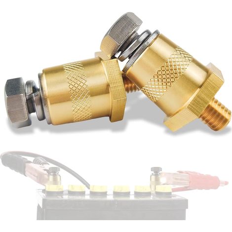 Lot de 2 adaptateurs de bornes de batterie M6 avec filetage extérieur - en laiton - Pour batteries de voiture au lithium (1/5)