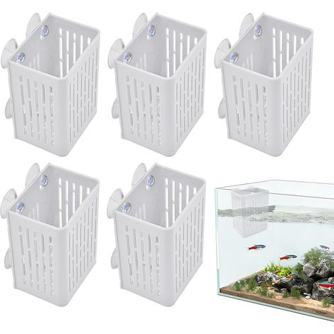 für Aquarien schwimmender Saugnapf lebende