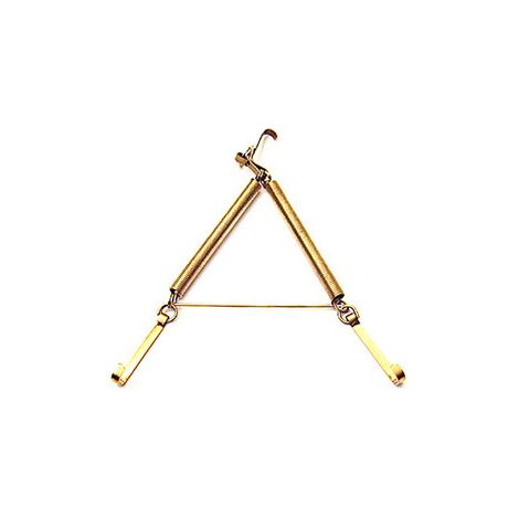 BL APPENDIPIATTI A MOLLA OTTONATO 16X25 CM (PZ.2)- DIESSE- 6,0 blister