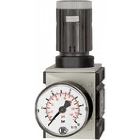 Riegler Druckregler »FUTURA«, inkl. Manometer, BG 2, G 3/8, 0,1 - 1 bar (1/5)