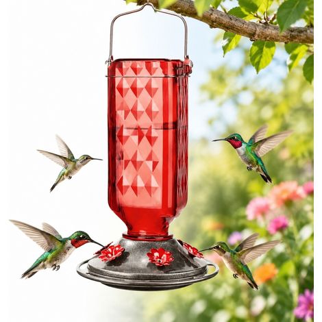Nourrice à colibris à suspendre extérieure avec barrière anti-fourmis et protection contre les abeilles, 6 orifices d'alimentation, grande capacité, (1/5)