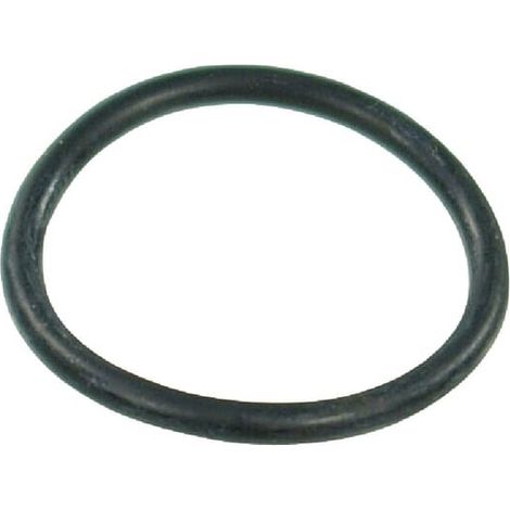 O-Ring 29,20 x 3 EPDM ARAG G10061 (1/2)