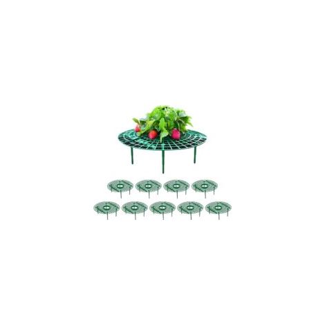 10 Pièces Support de Fraisier Supports pour Plantes Fraise, Supports de Plantation pour Fruits en Plastique Amovible Plateau Cadre de Support pour Serre et Plantes en Pot (1/5)