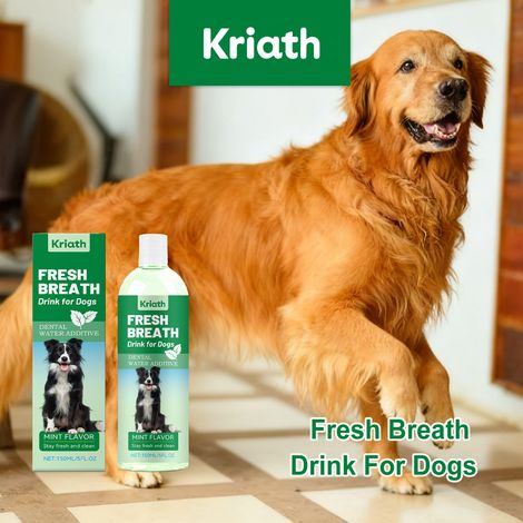 Eau rafraîchissante pour l'haleine des chiens - Formule douce pour les animaux, usage quotidien pour aider à réduire les odeurs - 150 ml (1/5)