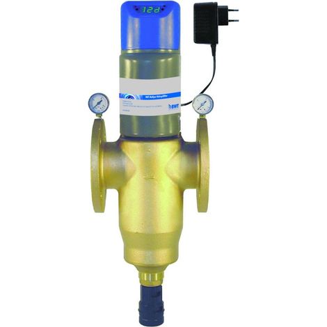 BWT Automatischer Rückspülfilter Multipur 65 AP, DN 65, 35m3/h, 100um, PN 10, Rotguss bleifrei, 220mm, 125596290 (1/2)