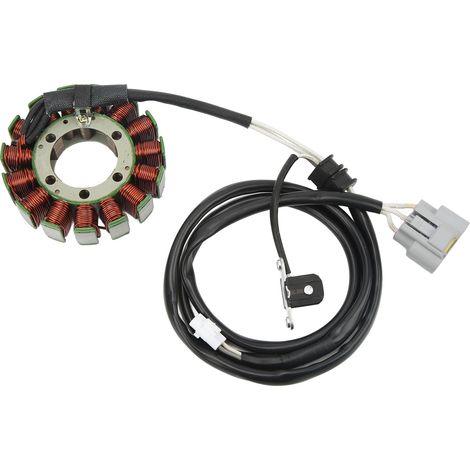 Bobine de stator de générateur 28P 81410 00 00 Bobines d'alternateur à faibles pertes magnétiques pour Grizzly 550 700 (1/5)