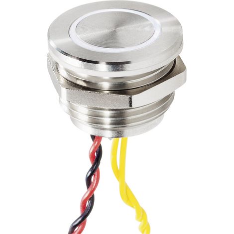 Renkforce RF-4707816 Klingeltaster mit Piezo 1fach Edelstahl, Weiß 24 V/0,3 A (1/5)