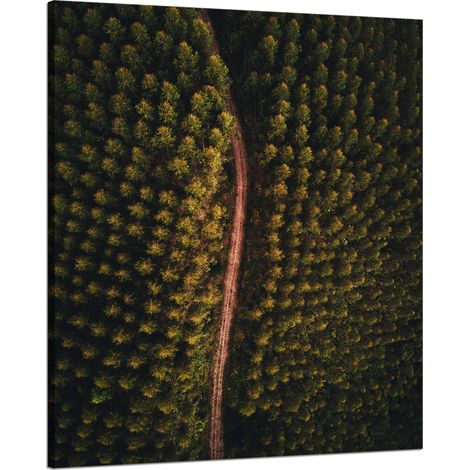 Leinwanddruck Naturstraße aus der Vogelperspektive 80x100